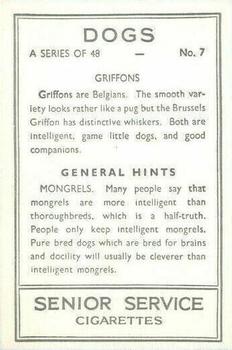 1939 Senior Service Dogs #7 Griffons Back
