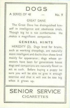 1939 Senior Service Dogs #9 Great Dane Back