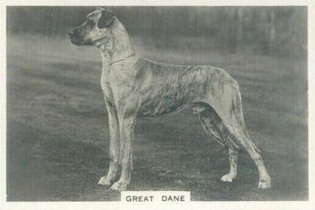 1939 Senior Service Dogs #9 Great Dane Front