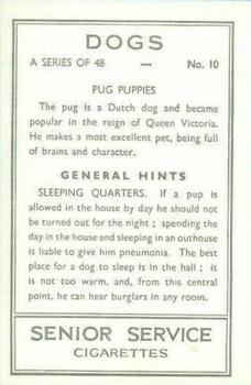 1939 Senior Service Dogs #10 Pug Puppies Back