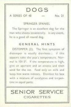 1939 Senior Service Dogs #21 Springer Spaniel Back