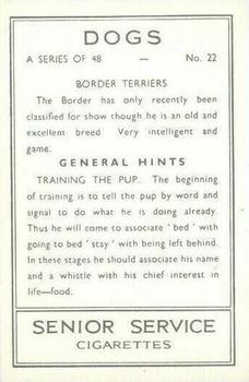 1939 Senior Service Dogs #22 Border Terriers Back