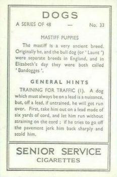 1939 Senior Service Dogs #33 Mastiff Puppies Back