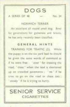1939 Senior Service Dogs #34 Norwich Terrier Back
