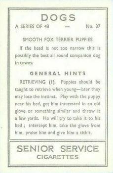 1939 Senior Service Dogs #37 Smooth Fox Terrier Puppies Back
