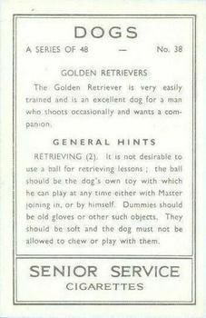 1939 Senior Service Dogs #38 Golden Retrievers Back