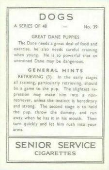 1939 Senior Service Dogs #39 Great Dane Puppies Back