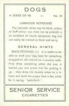 1939 Senior Service Dogs #44 Labrador Retrievers Back
