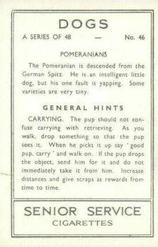 1939 Senior Service Dogs #46 Pomeranians Back
