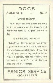 1939 Senior Service Dogs #47 Welsh Terriers Back