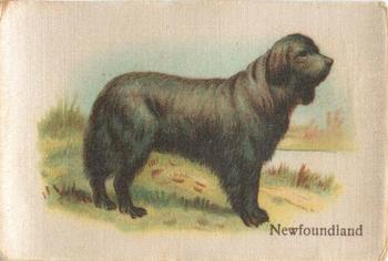 1913 British American Tobacco Best Dogs of their Breed #1 Newfoundland Front