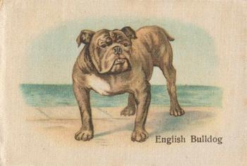 1913 British American Tobacco Best Dogs of their Breed #12 English Bulldog Front