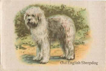 1913 British American Tobacco Best Dogs of their Breed #15 Old English Sheepdog Front