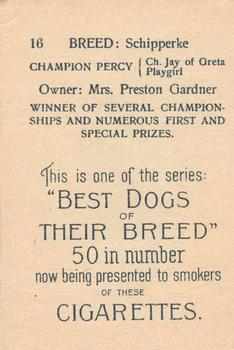 1913 British American Tobacco Best Dogs of their Breed #16 Schipperke Back