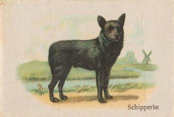 1913 British American Tobacco Best Dogs of their Breed #16 Schipperke Front