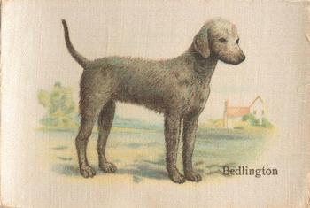 1913 British American Tobacco Best Dogs of their Breed #17 Bedlington Front