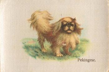 1913 British American Tobacco Best Dogs of their Breed #21 Pekingese Front