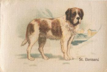 1913 British American Tobacco Best Dogs of their Breed #22 St. Bernard Front