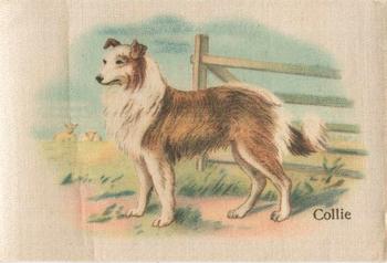 1913 British American Tobacco Best Dogs of their Breed #23 Collie Front