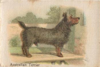 1913 British American Tobacco Best Dogs of their Breed #30 Australian Terrier Front