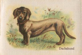 1913 British American Tobacco Best Dogs of their Breed #33 Dachshund Front