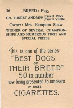 1913 British American Tobacco Best Dogs of their Breed #36 Pug Back