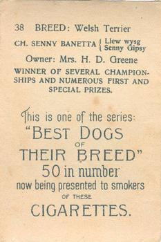 1913 British American Tobacco Best Dogs of their Breed #38 Welsh Terrier Back