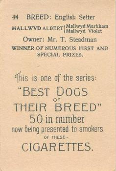 1913 British American Tobacco Best Dogs of their Breed #44 English Setter Back