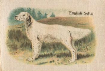 1913 British American Tobacco Best Dogs of their Breed #44 English Setter Front