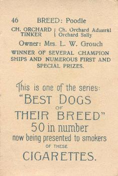 1913 British American Tobacco Best Dogs of their Breed #46 Poodle Back