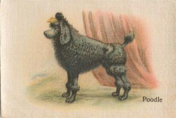1913 British American Tobacco Best Dogs of their Breed #46 Poodle Front