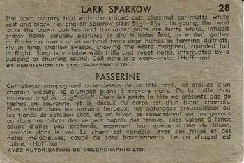 1957 Parkhurst Canadian Birds (V339-20) #28 Lark Sparrow Back