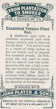 1926 Player's From Plantation to Smoker #2 Examining Tobacco Plant Bed Back