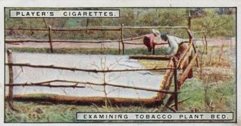 1926 Player's From Plantation to Smoker #2 Examining Tobacco Plant Bed Front