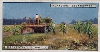 1926 Player's From Plantation to Smoker #9 Harvesting Tobacco Front