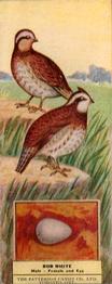 1924 Patterson Candy Birds (V75) #3 Bob White Front