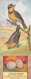 1924 Patterson Candy Birds (V75) #22 Canadian Warbler Front