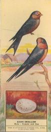 1924 Patterson Candy Birds (V75) #26 Barn Swallow Front