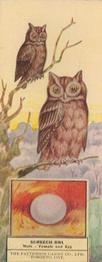 1924 Patterson Candy Birds (V75) #32 Screech Owl Front