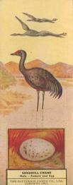 1924 Patterson Candy Birds (V75) #45 Sandhill Crane Front