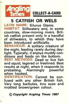 1987 Angling Times Collect-a-Card (Fish) #5 Catfish Back