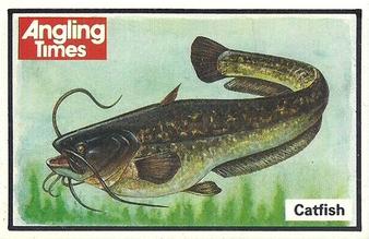 1987 Angling Times Collect-a-Card (Fish) #5 Catfish Front