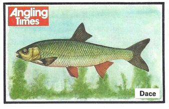 1987 Angling Times Collect-a-Card (Fish) #7 Dace Front