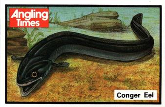 1987 Angling Times Collect-a-Card (Fish) #11 Conger Eel Front