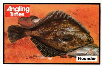 1987 Angling Times Collect-a-Card (Fish) #12 Flounder Front