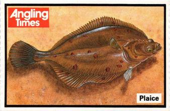 1987 Angling Times Collect-a-Card (Fish) #17 Plaice Front
