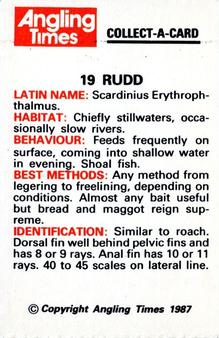 1987 Angling Times Collect-a-Card (Fish) #19 Rudd Back