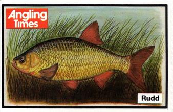 1987 Angling Times Collect-a-Card (Fish) #19 Rudd Front