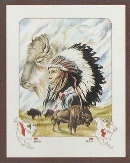 1991 Victoria Gallery Spirit of a Nation #3 Sioux     /       American Bison Front