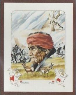 1991 Victoria Gallery Spirit of a Nation #4 Apache       /    Pronghorn Front